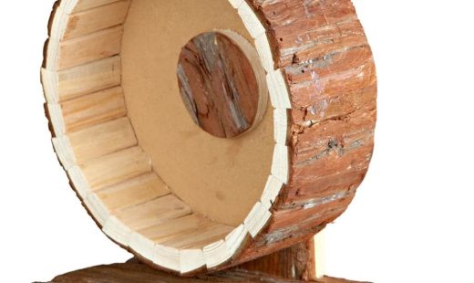 res_98084fc3ac4dfed5126edd3d621e6fde-min