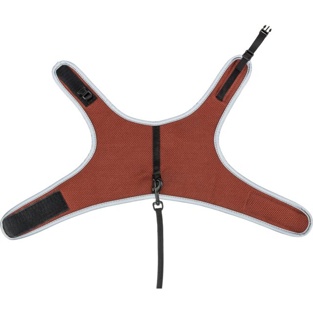 Ham și lesă pisici 24-42cm/1.20m Ruginiu