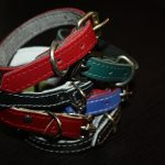 Zgardă din piele naturală neagră 35x1.5cm