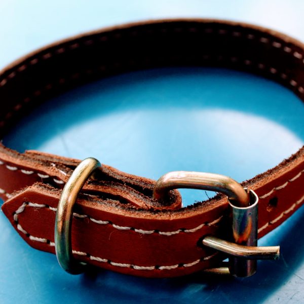 Zgardă din piele naturală maro 35x1.5cm