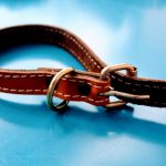 Zgardă din piele naturală maro 35x1.5cm