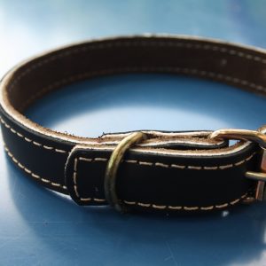 Zgardă din piele naturala neagră 45x2cm foto2.alt