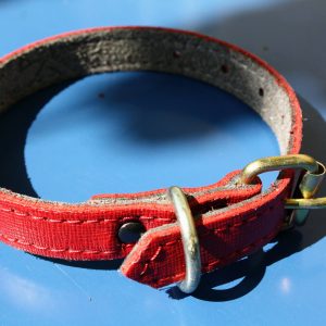 Zgardă din piele naturală roșie 35x1.5cm