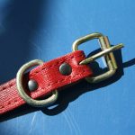 Zgardă din piele naturală roșie 35x1.5cm