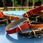 Zgardă din piele naturală roșie 35x1.5cm