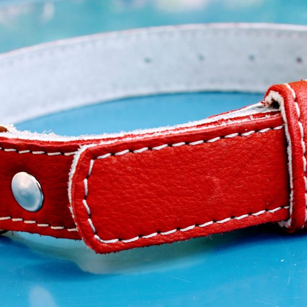 Zgardă din piele naturală roșie 60x3cm