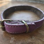 Zgardă din piele naturală roz 45x2cm